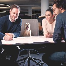 Raphaël de Paulin, ici avec son chien Otto, est partenaire du bureau 3BM3 Atelier d’Architecture à Genève. Le petit border terrier a su gagner le cœur de chacun.