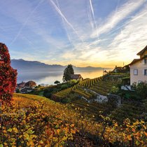Un vignoble qui permet d’allier marche et dégustation, le tout dans un décor de carte postale.