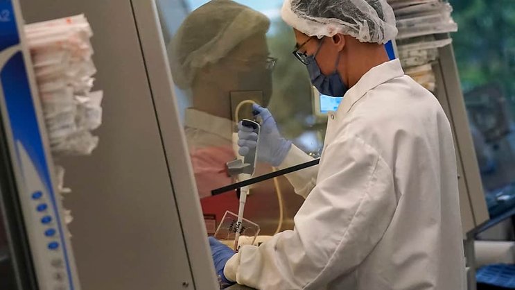 La viande cultivée en laboratoire pourrait arriver en Suisse d'ici quelques années. Une demande a été déposée (illustration).