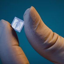 Des nanocapteurs capables d’alerter en cas de dégradation de l’état clinique d’une personne.