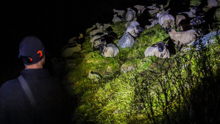 Dans le Kentucky, les tornades historiques ont fait au moins 74 morts, mais, selon le gouverneur, d'autres victimes pourraient être retrouvées dans les ruines.