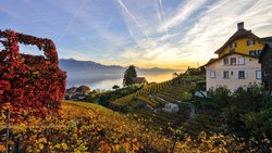 Un vignoble qui permet d’allier marche et dégustation, le tout dans un décor de carte postale.