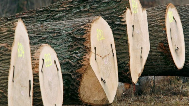 Dans l'industrie manufacturière, les secteurs des articles en bois et de la papeterie ainsi que de la métallurgie sont ceux qui bénéficient le plus de la tendance positive. (archive)