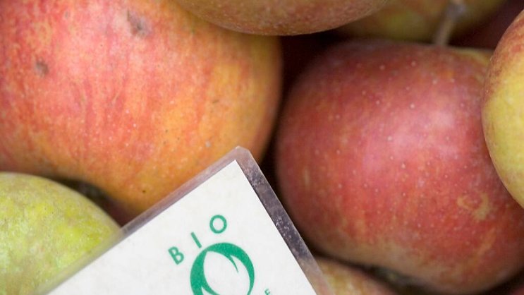 En 2023,  les agriculteurs ayant fait le choix du bio disposaient d'une surface cultivable de 190'000 hectares, soit 3700 hectares de plus qu'en 2022 (+2,0%) (image d'illustration).