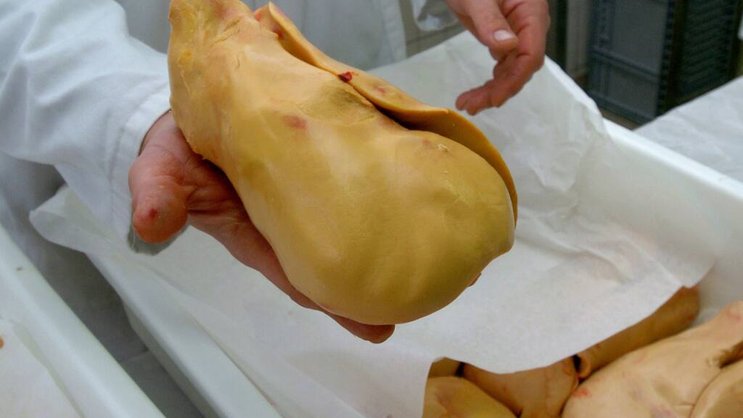 Le foie gras est obtenu en gavant de force plusieurs fois par jour de jeunes oies et canards mâles. Sa production en Suisse est interdite depuis plus de 40 ans (image d'illustration).