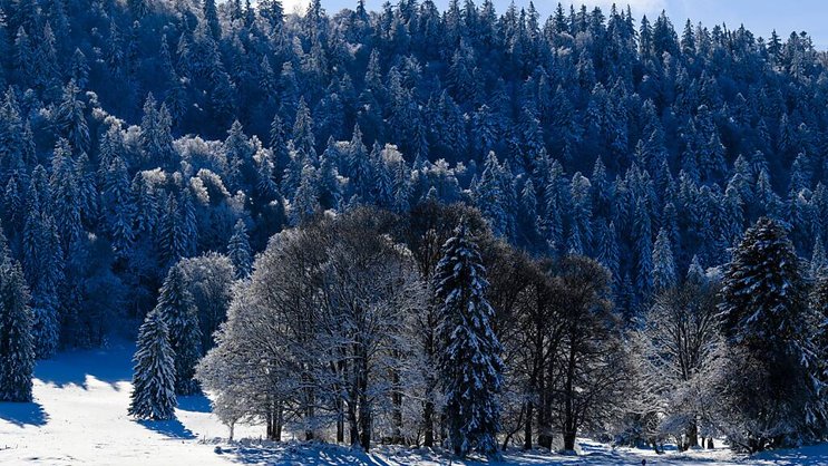 Les conditions devraient être idéales jeudi pour la journée de ski de fond gratuite (archives).