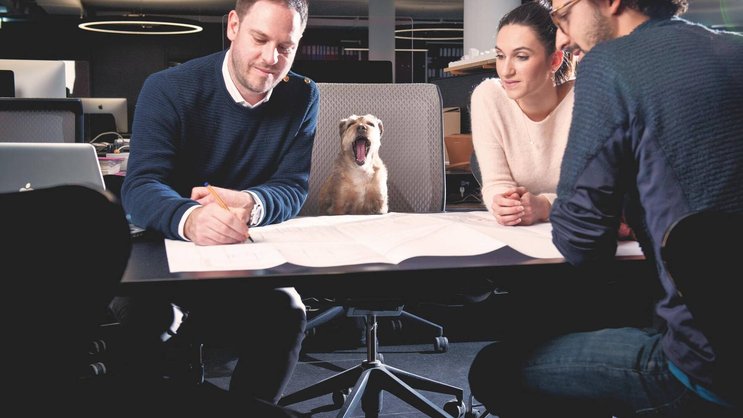 Raphaël de Paulin, ici avec son chien Otto, est partenaire du bureau 3BM3 Atelier d’Architecture à Genève. Le petit border terrier a su gagner le cœur de chacun.