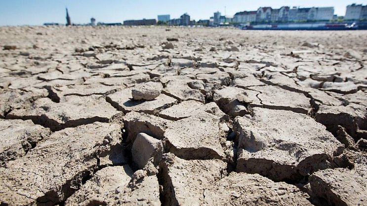Les sécheresses, alimentées par le réchauffement et une gestion insoutenable des ressources en eau et des sols, devraient toucher 75% de la population mondiale d'ici 2050, indique un rapport de l'ONU.