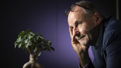 Stéphane Haefliger, associé chez Vicario Consulting, est l’auteur du livre «Le syndrôme du Bonsaï» qui analyse le divorce inquiétant entre les salariés et le travail.