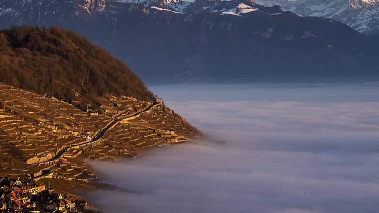 La canton de Vaud, avec notamment sa région de Lavaux, veut attirer davantage de visiteurs (archives).