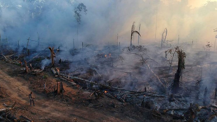 Le gouvernement du président Luiz Inacio Lula da Silva, en place depuis janvier 2023, s'est engagé à éradiquer d'ici à 2030 la déforestation illégale en Amazonie (image symbolique).