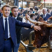 Le Salon de l'agriculture est un rendez-vous incontournable pour les hommes politiques français (archives).