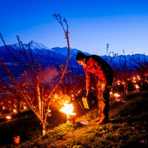 Jean-Noël Devènes, arboriculteur à Baar (VS), a lutté toute la nuit contre le gel.