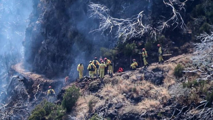Mercredi soir, les flammes progressaient toujours sur deux fronts dans des zones de très difficile accès de la cordillère centrale de cette île, très prisée des touristes étrangers située au large des côtes marocaines.