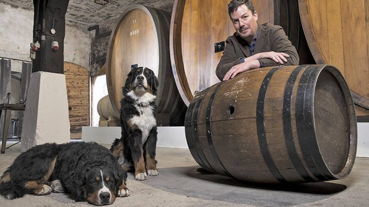 Le groupe Schenk va réduire de 10 à 20% le volume de ses achats auprès des producteurs. Le leader suisse du négoce de vins effectuera désormais ses achats en fonction du marché et des récoltes, sans garantie pour les viticulteurs.