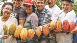 La Fondation Choba Choba souhaite renforcer le poids des producteurs de cacao du Pérou dans les orientations stratégiques des entreprises.