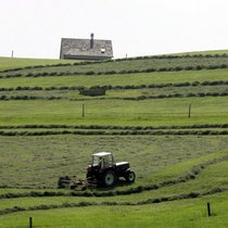 Le National veut accélérer l'homologation des pesticides (archives).