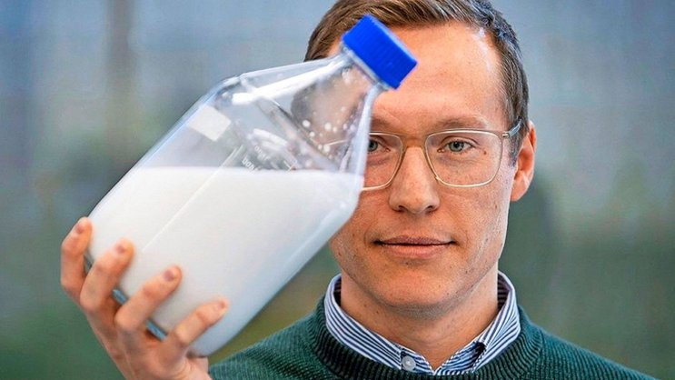Les écailles exosquelettiques blanches du scarabée Cyphochilus ont inspiré les recherches des chercheurs d’Impossible Materials, explique Lukas Schertel.