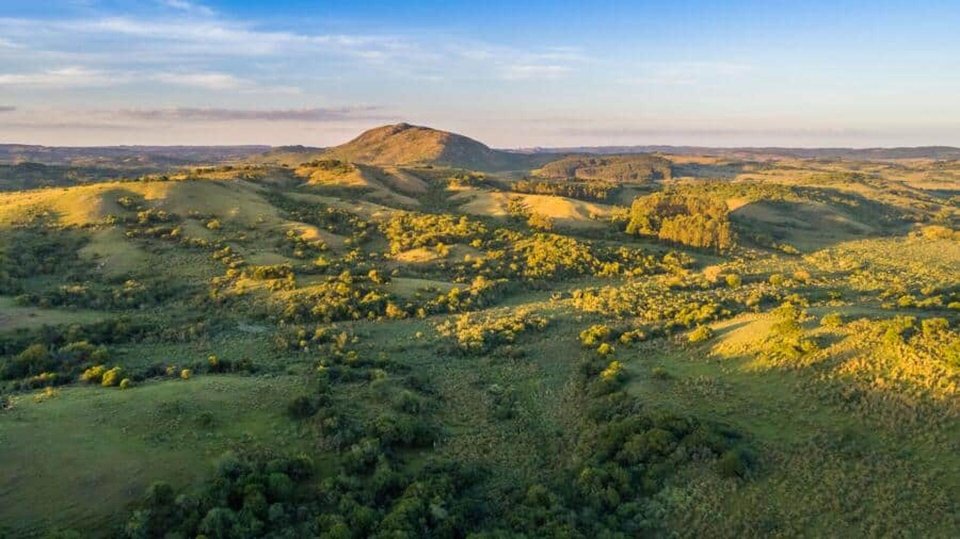 Disparaître dans la pampa, comme ici près de la ville de Rocha, se passe très bien en Uruguay.