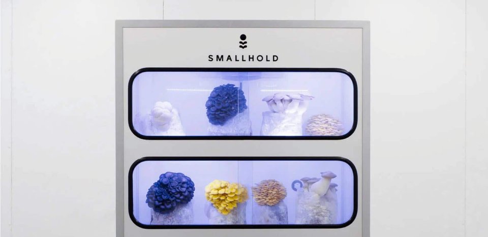 Smallhold