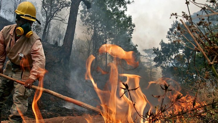 De 2010 à 2021, le Honduras a perdu 696'562 hectares de forêt (archives).