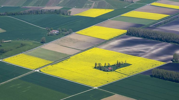 Suivant le Conseil des Etats, le National veut aussi donner un coup de pouce aux agriculteurs (image d'illustration).