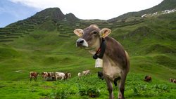 Le Registre des bonnes pratiques de sauvegarde du patrimoine culturel immatériel de l'UNESCO distingue des programmes susceptibles d'inspirer d’autres régions du monde (archive)