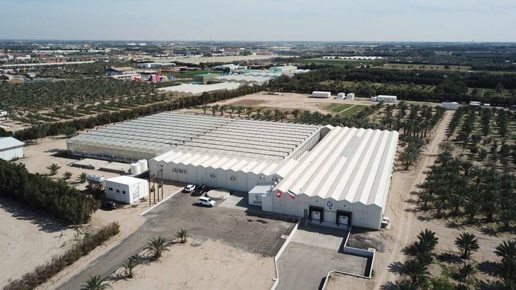 Après deux ans de tests au Koweït, la scale-up vaudoise CleanGreens a signé un contrat pour construire la plus grande ferme aéroponique du monde. La surface de production s’élévera à 24 000 m².
