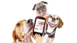 L’application Sowapi a été lancée en avril dernier.