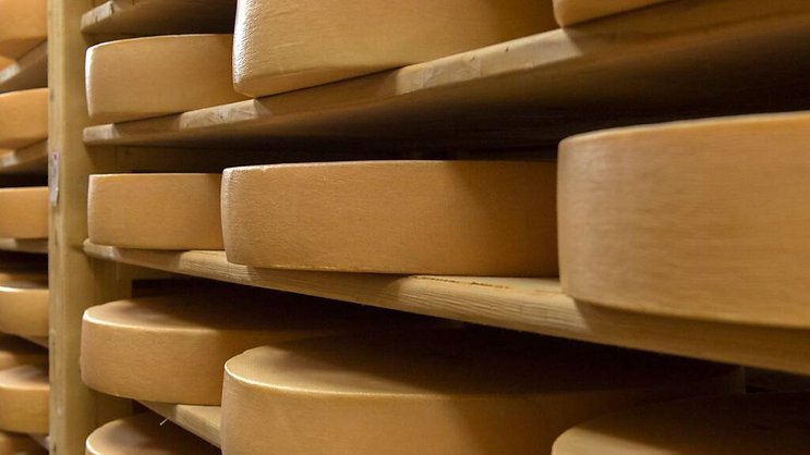 Chaque habitant en Suisse consomme en moyenne 22,9 kg de fromage par année, dont les deux tiers de fromage suisse.