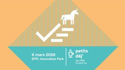 2603_PDJ-declinaisons-visuelles-orange_PME.png