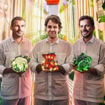 Dominik Blaser, Jonas Roch et Nicolas Weber (de g. à dr.) transforment les serres en centrales solaires. (illustration créée à l’aide d’un modèle d’IA)