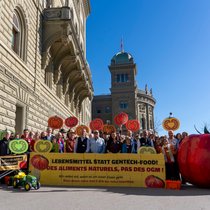 L'initiative populaire demande le maintien des contrôles après l'expiration du moratoire sur les OGM (archives).