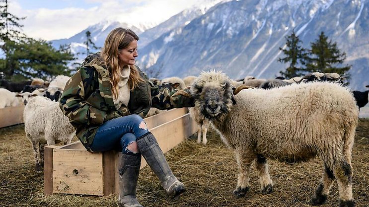 Claire Jeannerat et Nounours, un mouton Nez Noir de la Bergerie de Naye à Mollens.