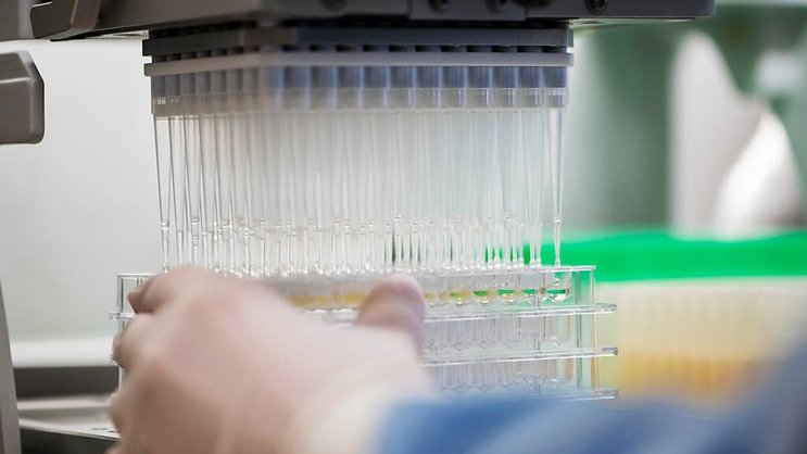 Si les résultats sont prometteurs, la substance est encore loin d'une utilisation dans la pratique (image symbolique).