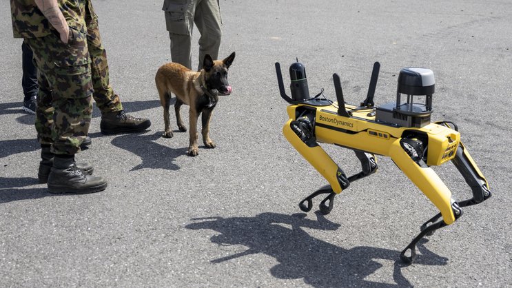 Un chien observe un robot de garde non armé, fabriqué par Boston Dynamics. En Suisse aussi, la robotique figure parmi les domaines de recherche prioritaires pour faire face aux menaces actuelles.