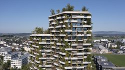 Lorsque l'immobilier s'adapte à la chaleur: la résidence Aglaya à Rotkreuz (ZG) reste fraîche grâce à sa façade claire et à sa végétalisation.