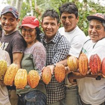 La Fondation Choba Choba souhaite renforcer le poids des producteurs de cacao du Pérou dans les orientations stratégiques des entreprises.