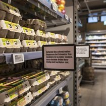 En 2024, les ventes d’œufs ont augmenté de 5,7% en Suisse, soit 96 millions d’unités.