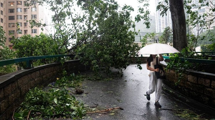 Les dégâts matériels causés par Saola sont importants, mais beaucoup moins étendus que ceux provoqués par le typhon Mangkhut en 2018.