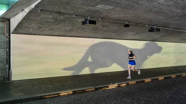 Une des installations visibles lors de cette édition 2025 d'Art Basel: Finite/Infinite (2010) de l'artiste américain Sturtevant.