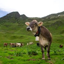 Le Registre des bonnes pratiques de sauvegarde du patrimoine culturel immatériel de l'UNESCO distingue des programmes susceptibles d'inspirer d’autres régions du monde (archive)