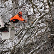 Une tronçonneuse pour abattre un arbre au-dessus d’une route à Nashville, dans le Tennessee, une région aussi touchée par la vague de froid.