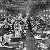 Entre 1918 et 1920, la grippe espagnole a fait quelque 50 millions de victimes (jusqu’à 100 millions selon d’autres estimations).