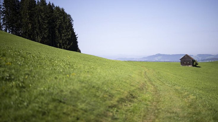 20250114062952782
