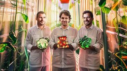 Dominik Blaser, Jonas Roch et Nicolas Weber (de g. à dr.) transforment les serres en centrales solaires. (illustration créée à l’aide d’un modèle d’IA)