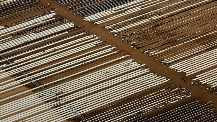 Cette législation vise à imposer aux Etats des objectifs contraignants de restauration des terres et espaces marins abîmés par la pollution ou l'exploitation intensive, pour préserver la biodiversité. Les eurodéputés devront désormais en négocier le contenu avec les Etats membres.