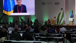 Les participants à la COP30 se sont mis de nuit à Belem.