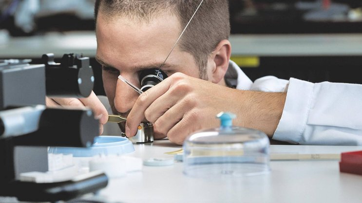 Si le projet se concrétise, Rolex deviendrait le premier employeur du district.