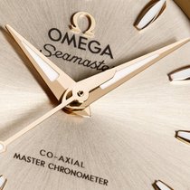 Omega Aqua Terra